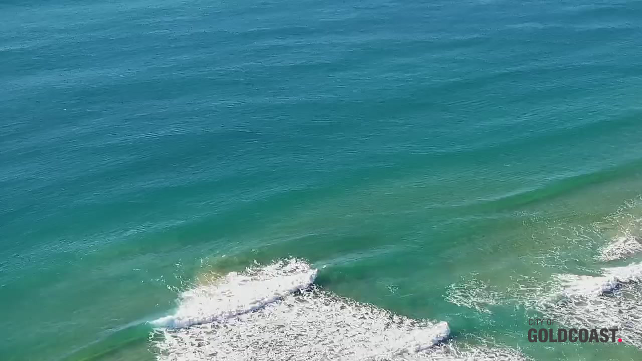 Narrowneck
